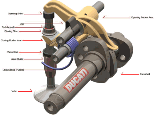 Desmodromic valves configuration
