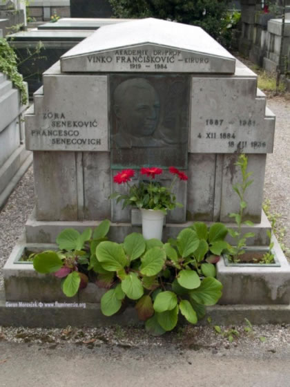 Frančišković Vinko, grob na Kozali